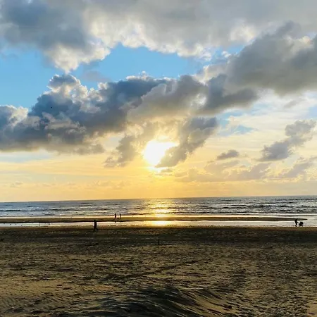 Mevira Zandvoort